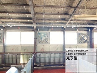 豚舎電気設備工事 の施工写真 5枚目